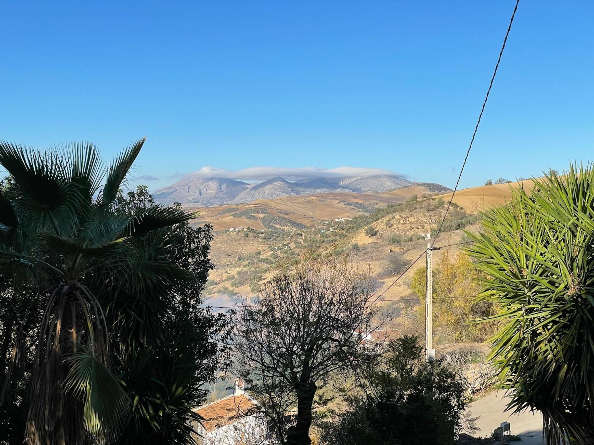 Finca El Sueno Andaluz Villanueva de la Concepción المظهر الخارجي الصورة